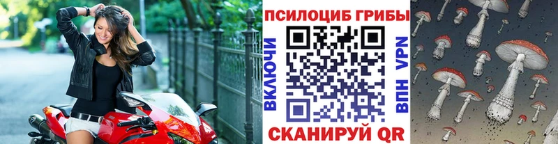 Галлюциногенные грибы мицелий  Аркадак 